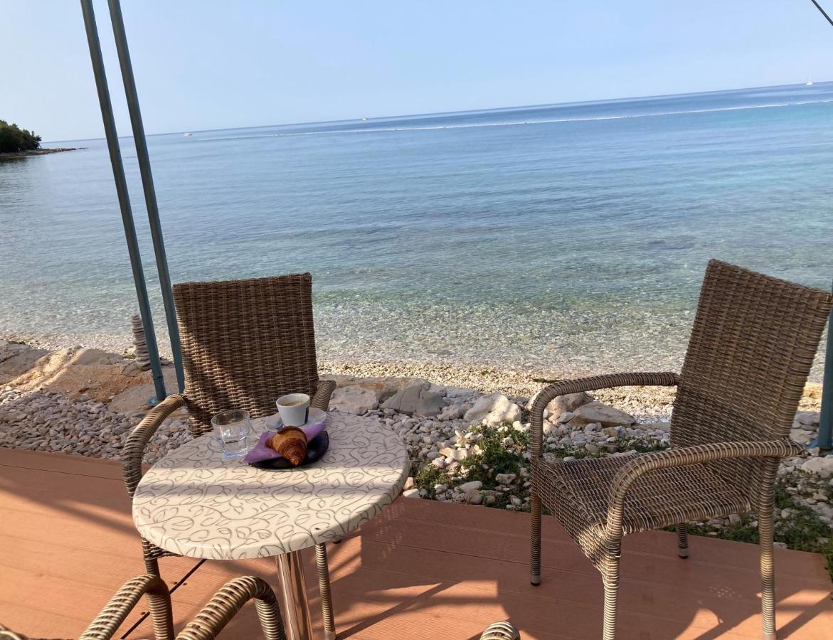 Ferienwohnung Sommer Новиград Екстериор снимка